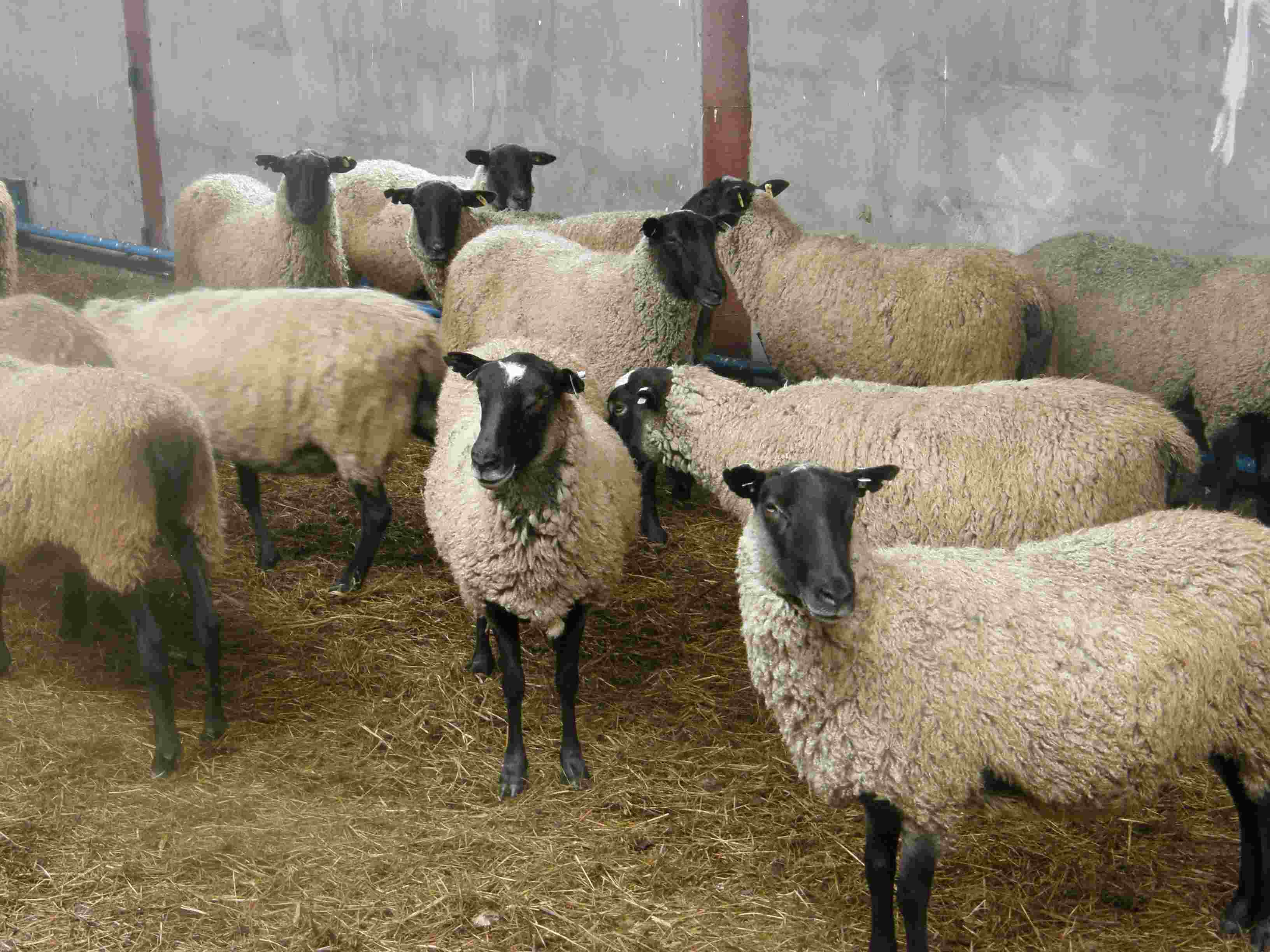 Photo 30